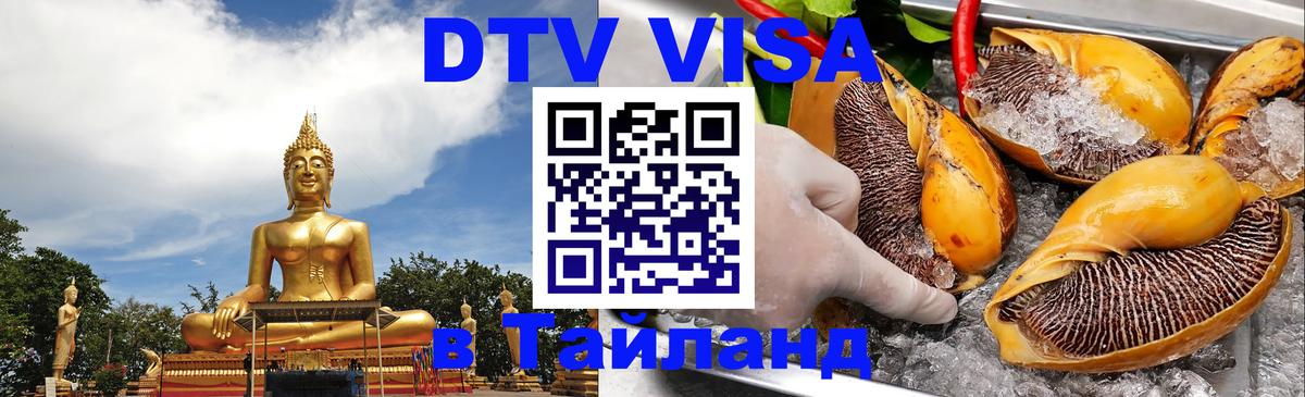 Оформление DTV визы под ключ: стоимость и тарифы, только загранпаспорт - Сыктывкар 